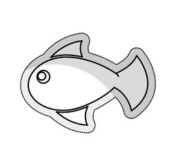 fish animal isolated icon vector illustration design