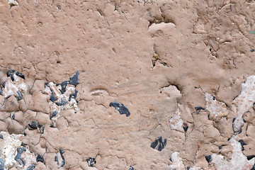 white concrete wall texture