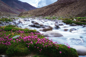 Natural landscape in Leh Ladakh - obrazy, fototapety, plakaty