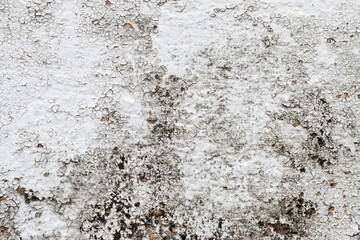 white concrete wall texture