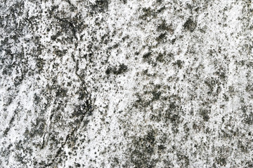 white concrete wall texture