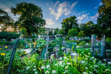 Gardens at Back Bay Fens, in Boston, Massachusetts.
