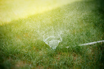 Water sprinkler in action on a hot summer day