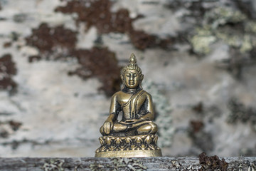 small buddha statue in the forest
