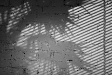 Gray Wall With Shadow Texture