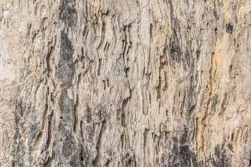 closeup of grungy old wooden board texture for background