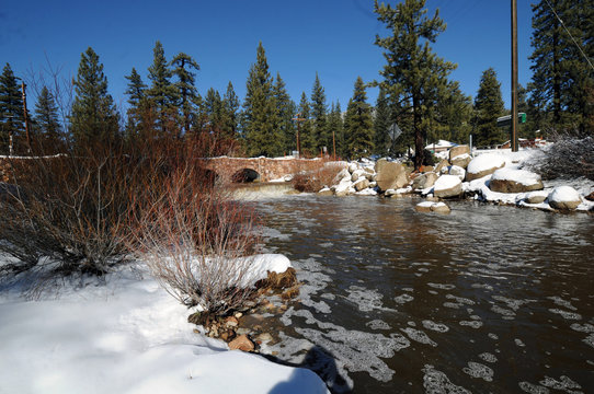 Winter Bridge