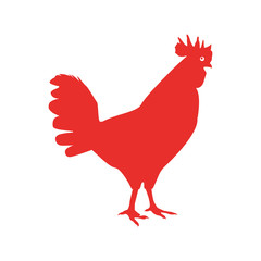 rooster animal farm isolated icon vector illustration design