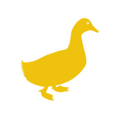 duck animal farm isolated icon vector illustration design