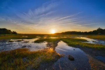 Foto op Plexiglas Wetlands Sunrise at Botany Bay Plantation  © Michael