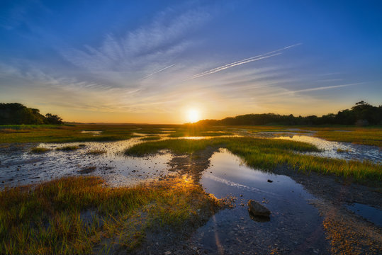 Wetlands Sunrise at Botany Bay Plantation 