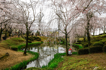 경주 보문정의 봄
