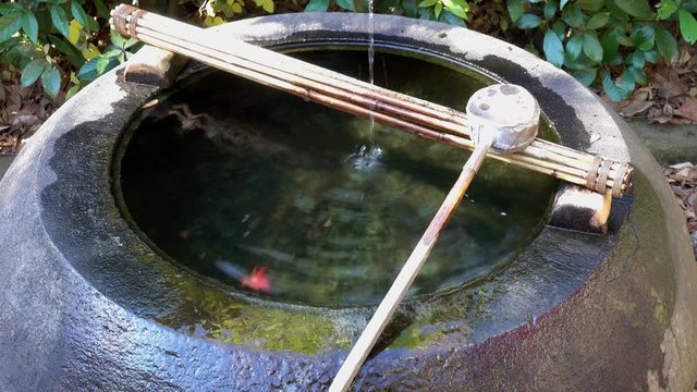 4K・秋の手水と紅葉_2-149