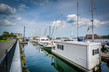 Fototapeta premium Marina on the Charles River, in Charlestown, Boston, Massachuset