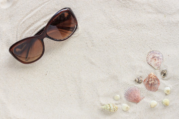 Fototapeta na wymiar sea shells on white sand. summer concept. over light