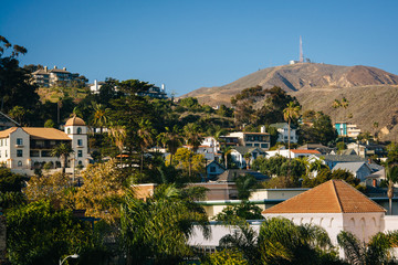 Fototapeta na wymiar View of buildings and hills in downtown Ventura, California.