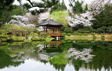 경주 보문정의 봄