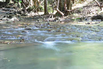 waterfall in forest