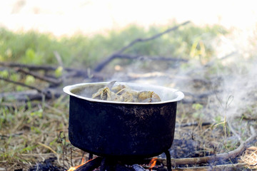 Boiled chicken in a pot of boiling water