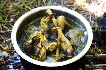 Boiled chicken in a pot of boiling water