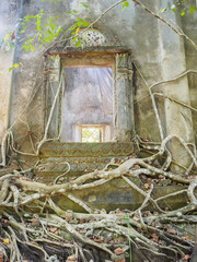 Tree in old window inside vintage Thai temple.