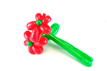 balloon flowers isolated on white background