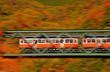 紅葉の箱根登山鉄道
