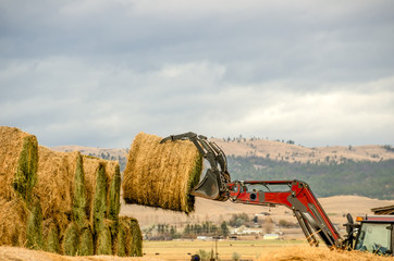 Stacking Bales of Hay