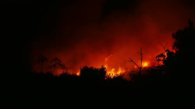 A bushfire burning orange and red at night, 4k