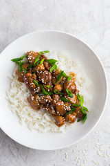 teriyaki chicken with rice, served with sesame seeds and chopped