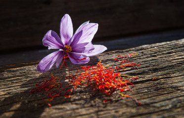 Saffron flowers after harvesting. Crocus flower on a wooden table.