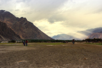 Hunder Sand Dunes of Nubra Valley.