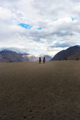 Hunder Sand Dunes of Nubra Valley.