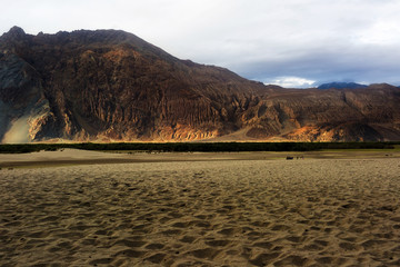 Hunder Sand Dunes of Nubra Valley.
