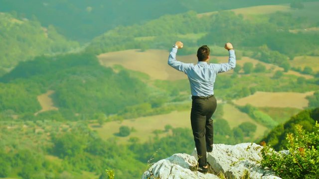young businessman exults for realization of the success: achievement, glory, top