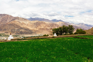 Natural landscape in Leh Ladakh