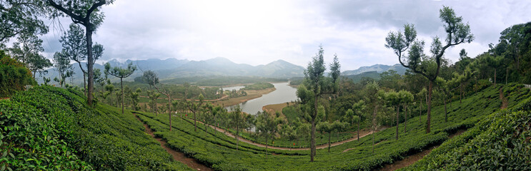 Fototapeta na wymiar Panoramic view in Munnar in western Ghats, Kerala, Idukki district, India