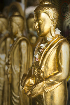 GOLDEN BUDDHA  IMAGES
Golden Buddha images stand still quietly in a row.
