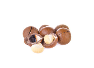 Macadamia nut on white background