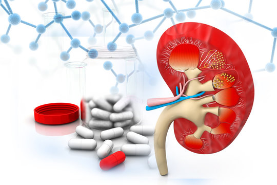 3d render of Human kidney with medicines.