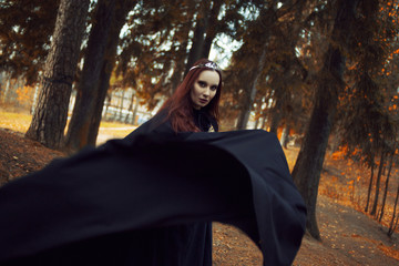 Young beautiful and mysterious woman in woods, in black cloak with hood, image of forest elf or...