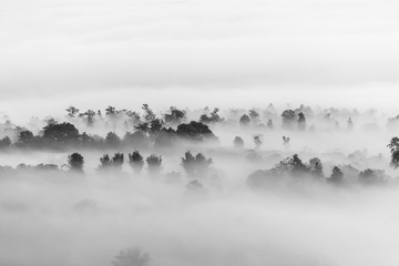 Wolkenmeer über dem Wald, Schwarz-Weiß-Töne in der minimalistischen Fotografie