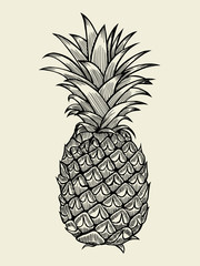 Pineapple vector Illustration