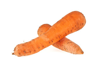 Carrot isolated on a withe background