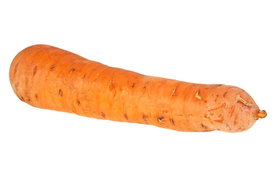 Carrot isolated on a withe background