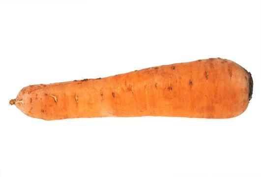 Carrot isolated on a withe background