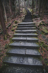 Stairs in a tropical forest in Asia