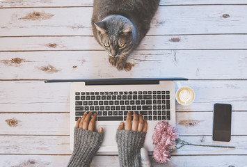 Girl with a cat working at home.