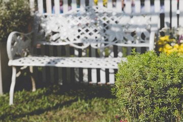 plant and white metal chair in park