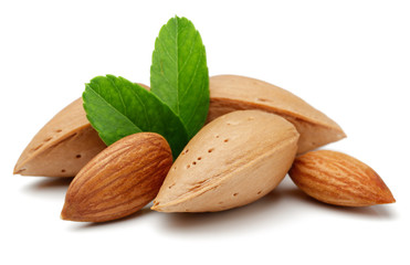 Almonds, shelled almonds and leaves